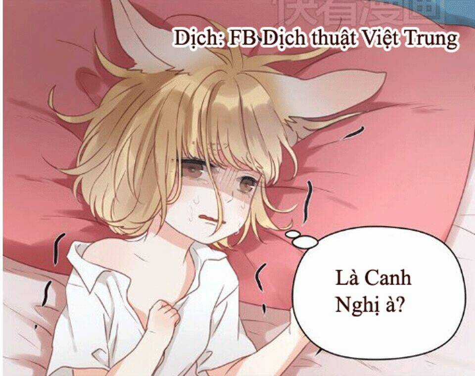 Lượm Được 1 Tiểu Hồ Ly Chapter 16 trang 12