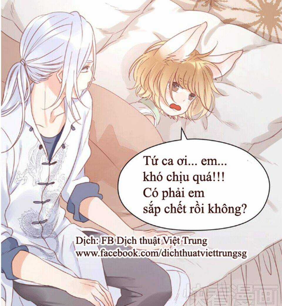 Lượm Được 1 Tiểu Hồ Ly Chapter 20 trang 16