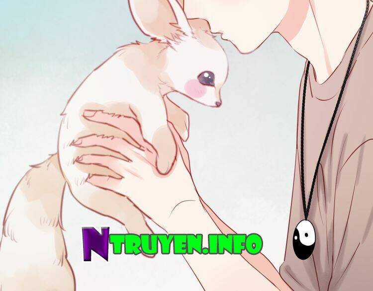 Lượm Được 1 Tiểu Hồ Ly Chapter 48 trang 47