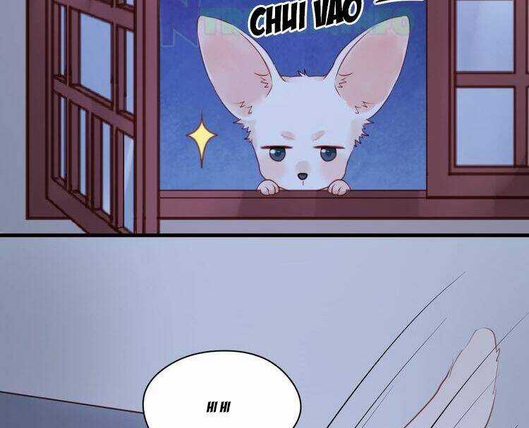 Lượm Được 1 Tiểu Hồ Ly Chapter 52 trang 17