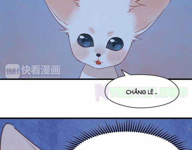 Lượm Được 1 Tiểu Hồ Ly Chapter 52 trang 22