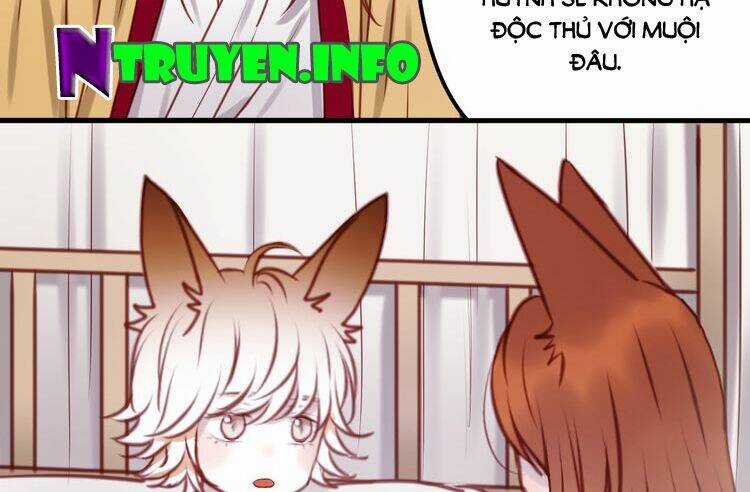 Lượm Được 1 Tiểu Hồ Ly Chapter 55 trang 51