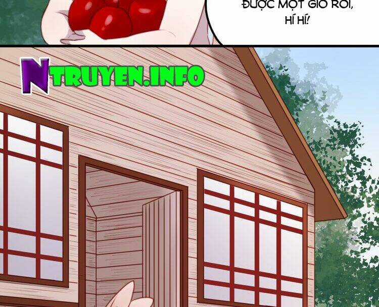 Lượm Được 1 Tiểu Hồ Ly Chapter 61 trang 23