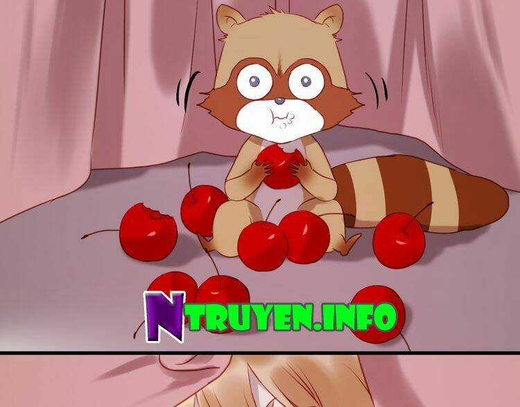 Lượm Được 1 Tiểu Hồ Ly Chapter 61 trang 47