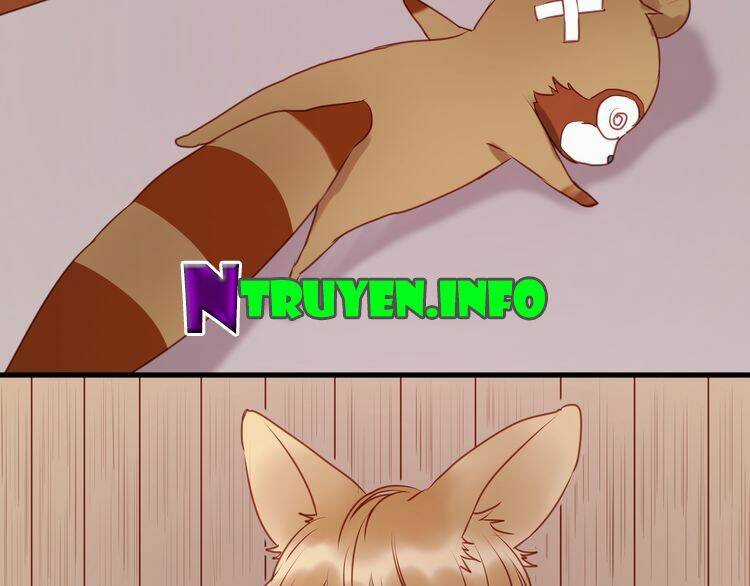 Lượm Được 1 Tiểu Hồ Ly Chapter 61 trang 51