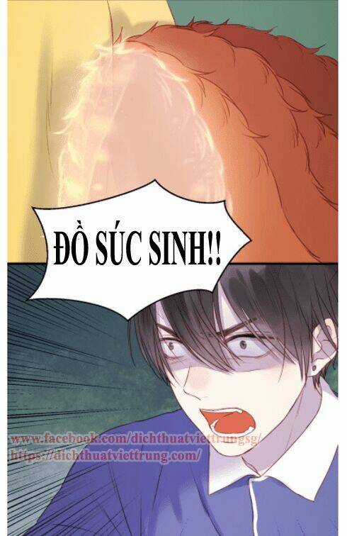 Lượm Được 1 Tiểu Hồ Ly Chapter 66 trang 3