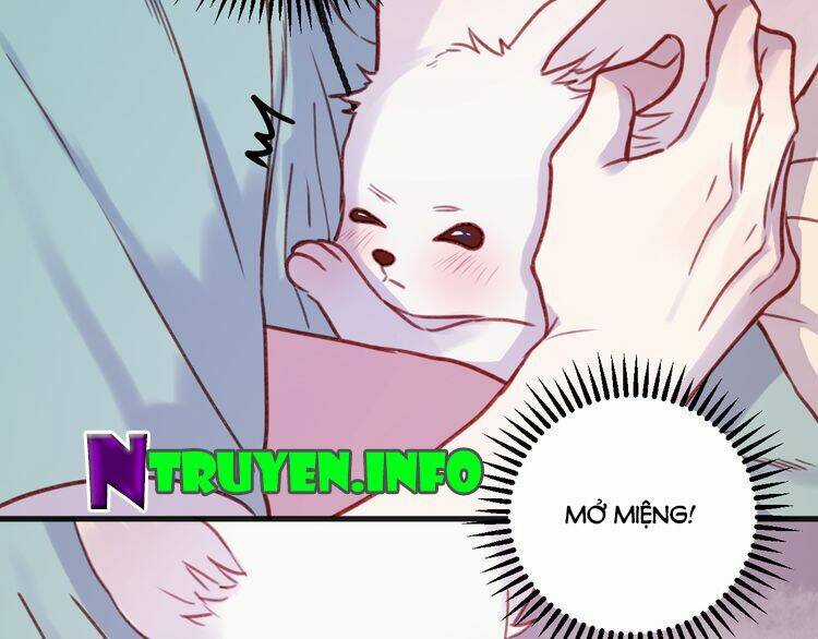 Lượm Được 1 Tiểu Hồ Ly Chapter 75 trang 27