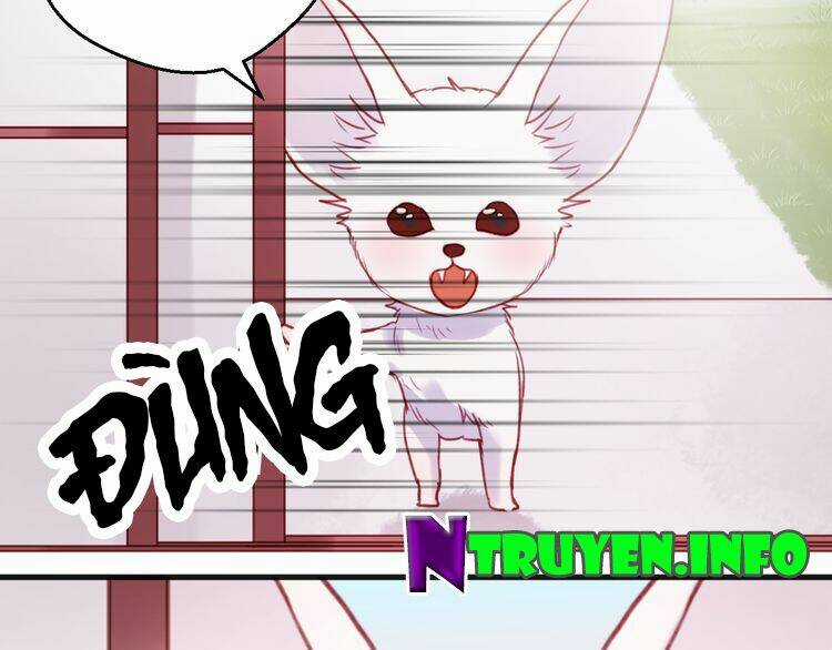 Lượm Được 1 Tiểu Hồ Ly Chapter 75 trang 37