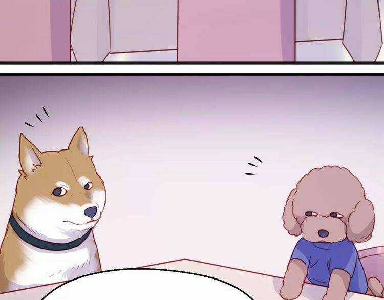 Lượm Được 1 Tiểu Hồ Ly Chapter 78 trang 18