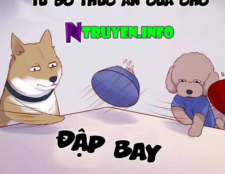 Lượm Được 1 Tiểu Hồ Ly Chapter 78 trang 27