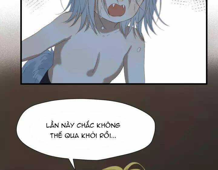 Lượm Được Một Tiểu Hồ Ly 3 Chapter 100 trang 13