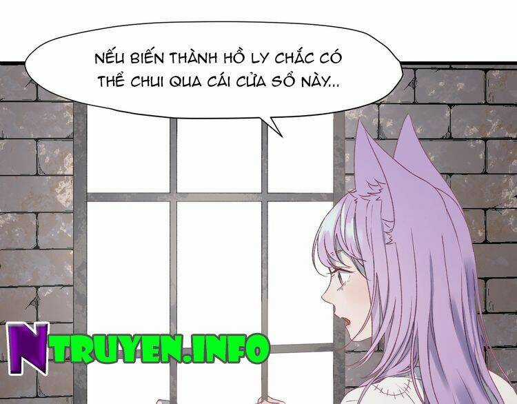 Lượm Được Một Tiểu Hồ Ly 3 Chapter 13 trang 7