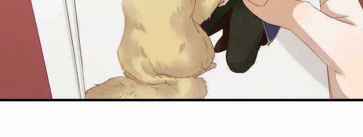 Lượm Được Một Tiểu Hồ Ly 3 Chapter 78 trang 12