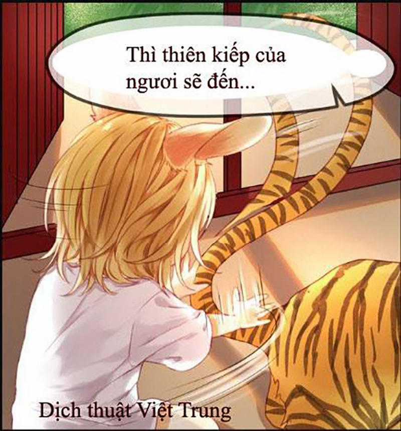 lượm được một tiểu hồ ly Chapter 1 trang 15