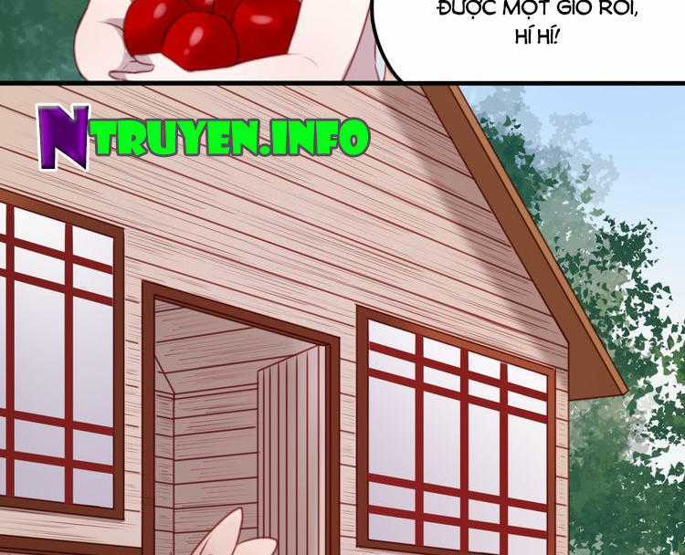 lượm được một tiểu hồ ly Chapter 61 trang 23