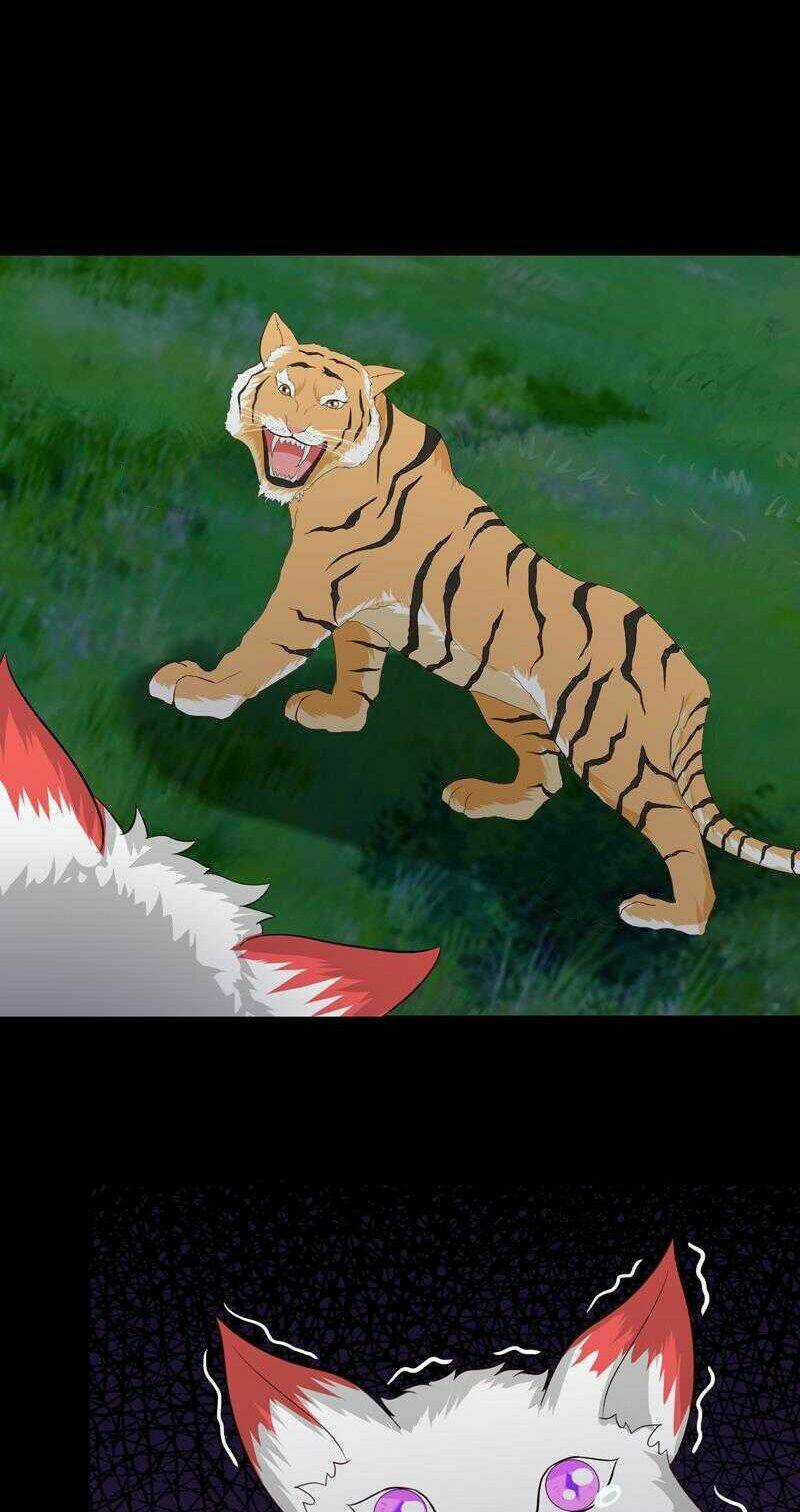 Luôn Có Thần Tiên Muốn Hãm Hại Ta Chapter 54 trang 10