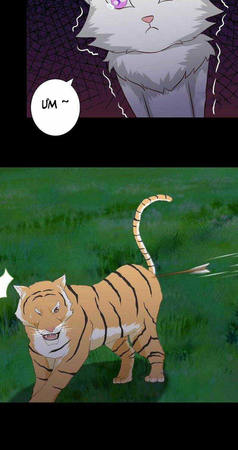 Luôn Có Thần Tiên Muốn Hãm Hại Ta Chapter 54 trang 11