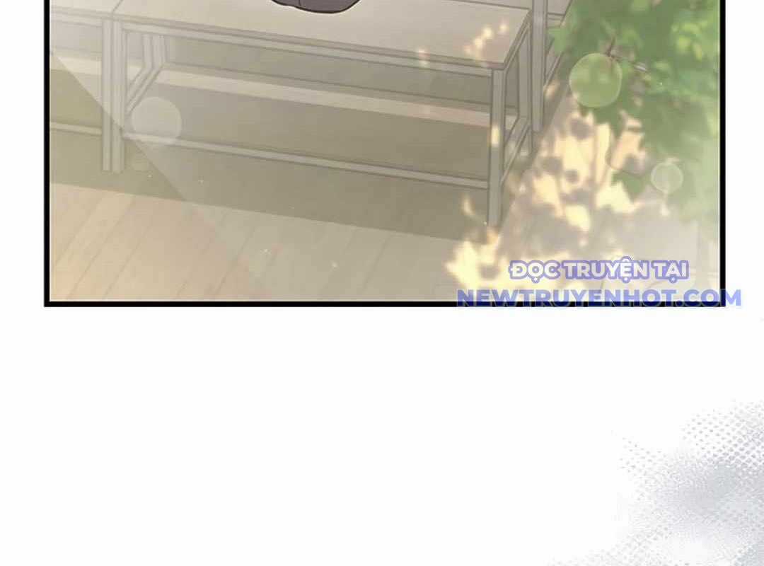 Lượng Mana Đáy Xã Hội! Ta Vô Địch Nhờ Kỹ Năng Của Mình Chapter 23 trang 223