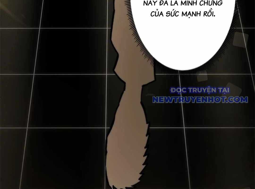 Lượng Mana Đáy Xã Hội! Ta Vô Địch Nhờ Kỹ Năng Của Mình Chapter 23 trang 70