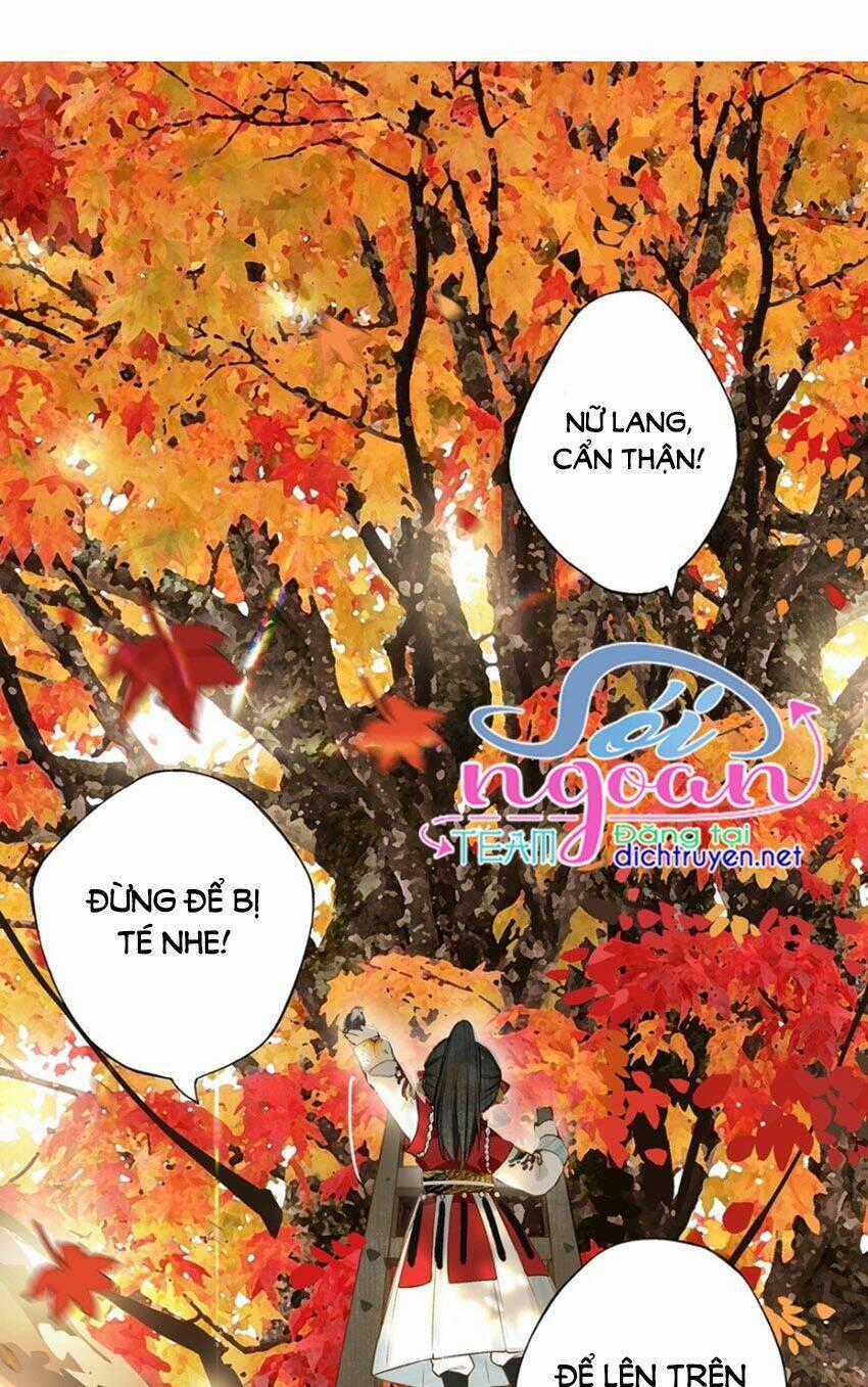 Lưu Hoa Bất Cập Xuân Chapter 22 trang 0