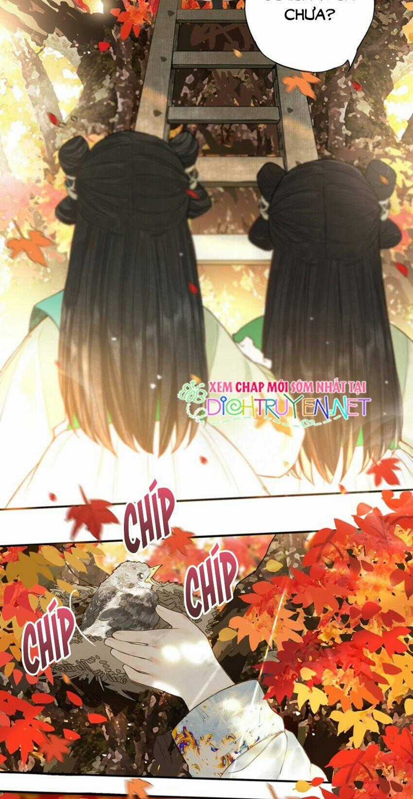 Lưu Hoa Bất Cập Xuân Chapter 22 trang 1