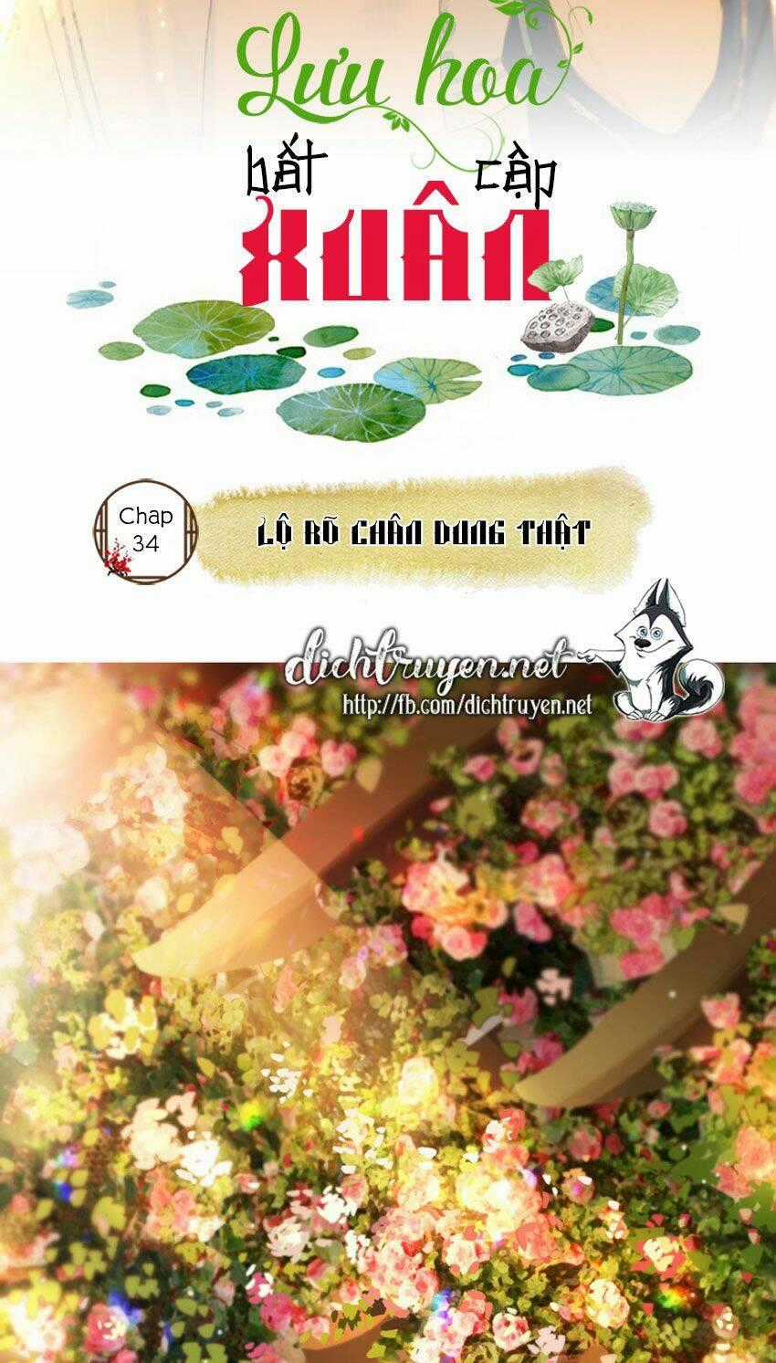Lưu Hoa Bất Cập Xuân Chapter 34 trang 1
