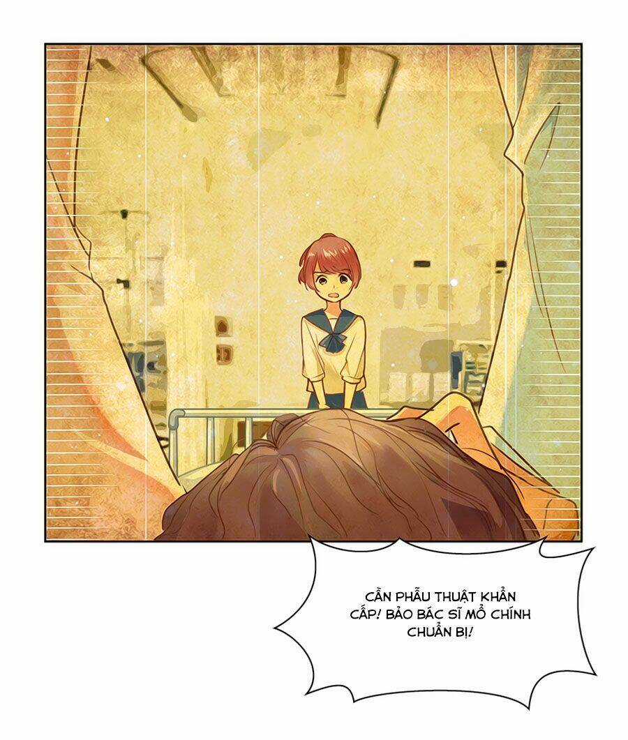 Lưu Luyến Tinh Diệu Chapter 118 trang 8