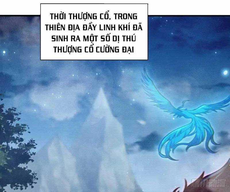 Luyện Khí 3000 Tầng: Mở Đầu Thu Nữ Đế Làm Đệ Chương 14 trang 99