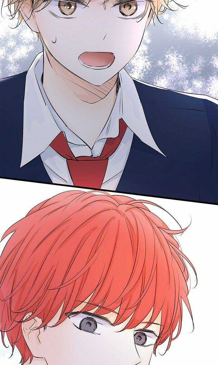 Ly Choco Ngọt Ngào Chapter 79 trang 17