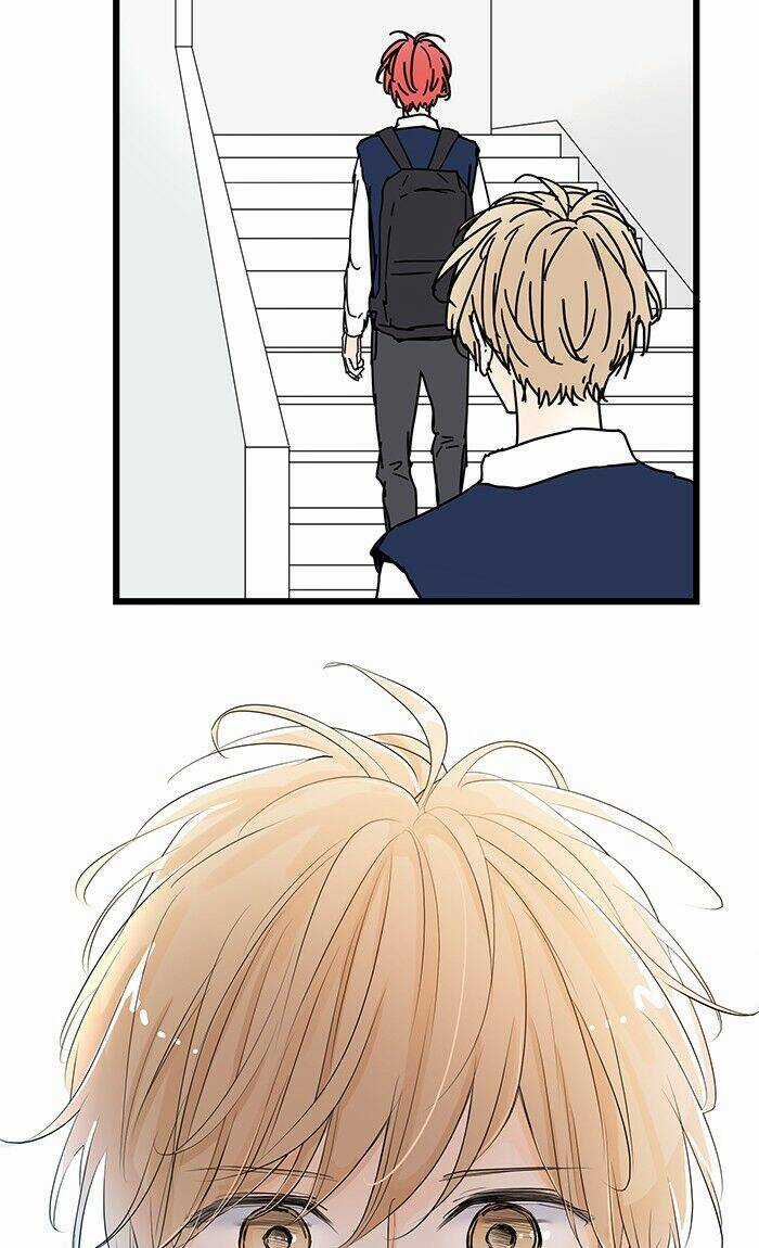 Ly Choco Ngọt Ngào Chapter 79 trang 24