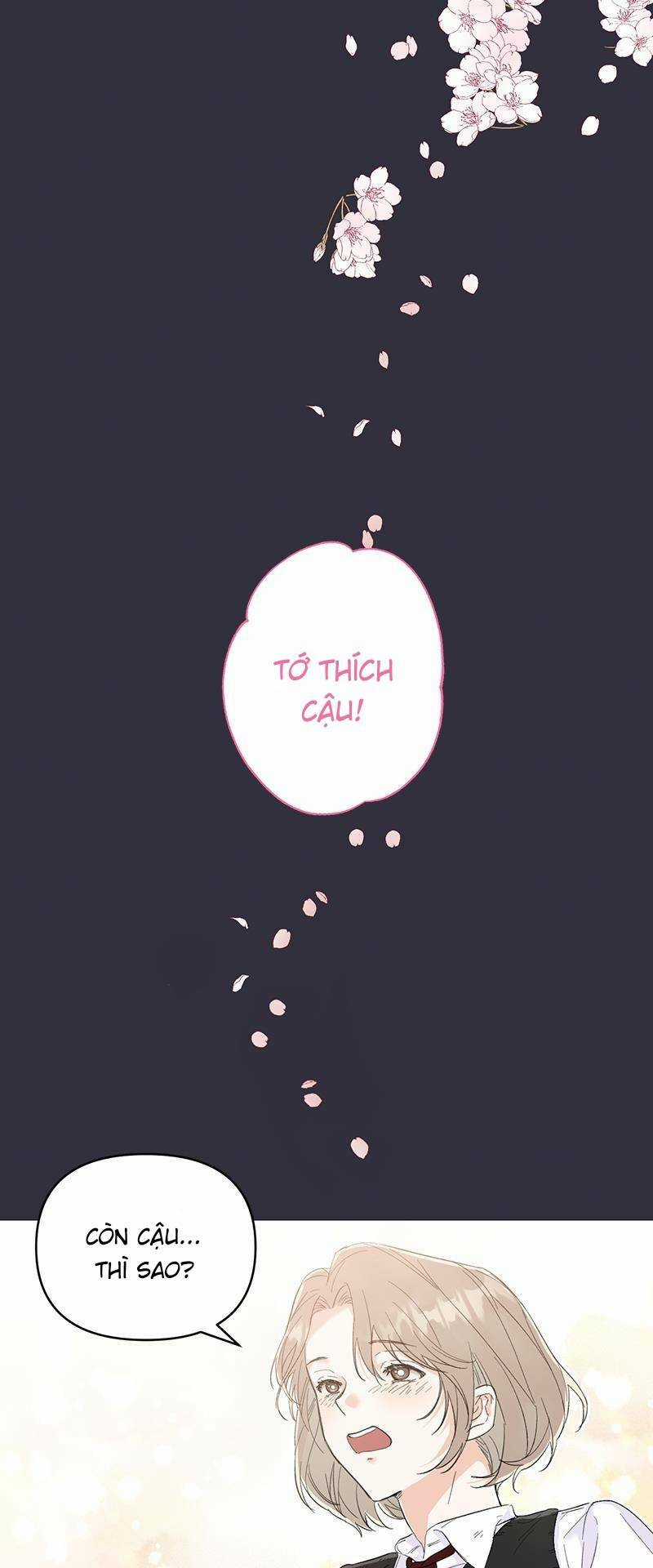 Ly Hôn Nào! Chapter 2 trang 3