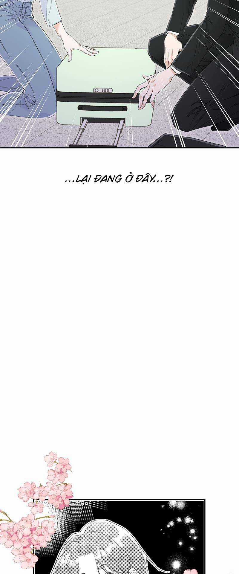 Ly Hôn Nào! Chapter 2 trang 8