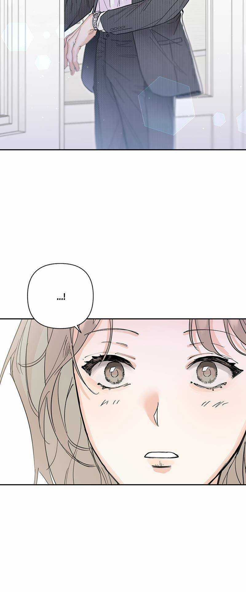 Ly Hôn Nào! Chapter 7 trang 65