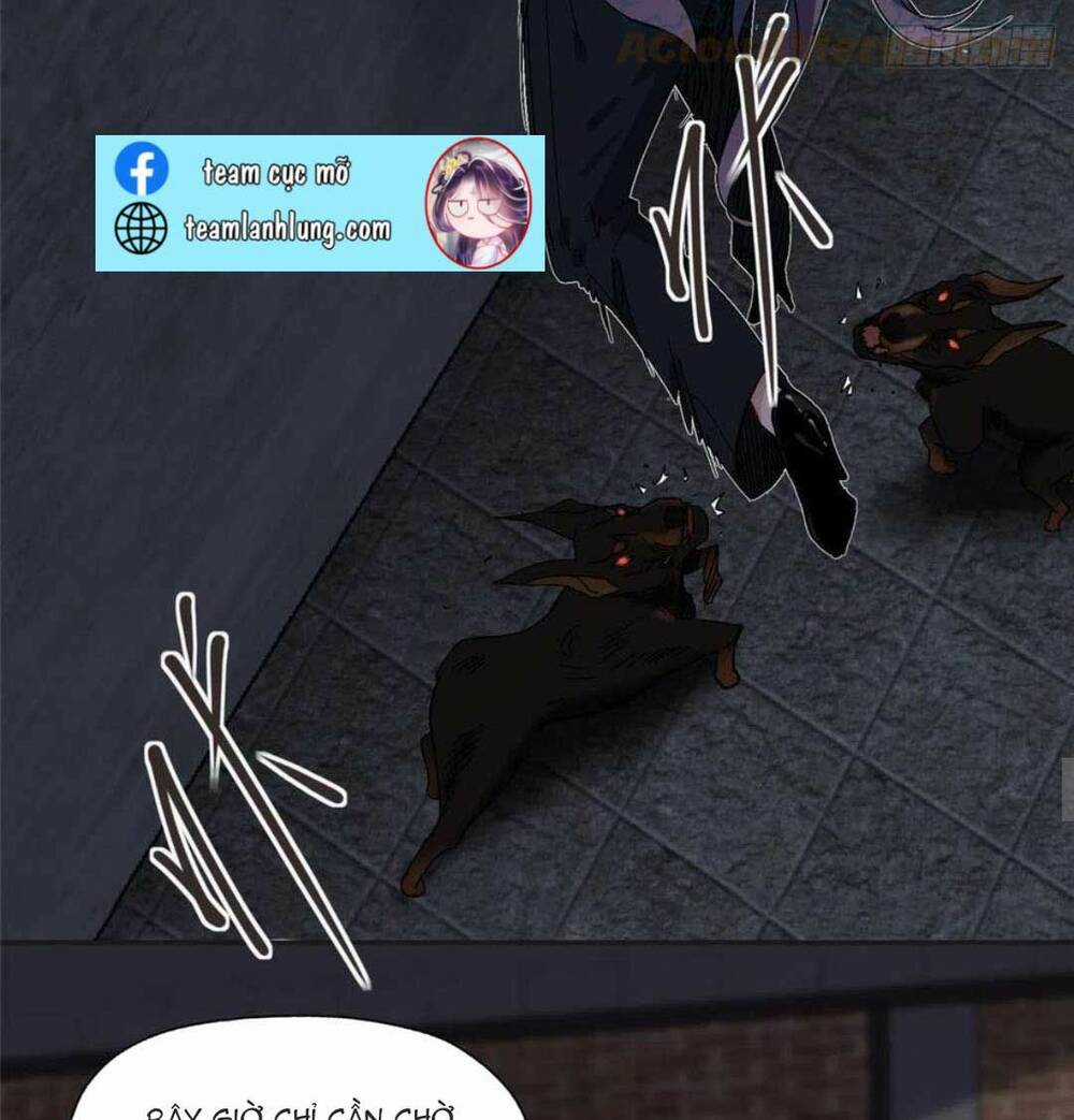 Ly Hôn Với Đại Boss Tôi Càng Tỏa Sáng Hơn Chapter 73 trang 9