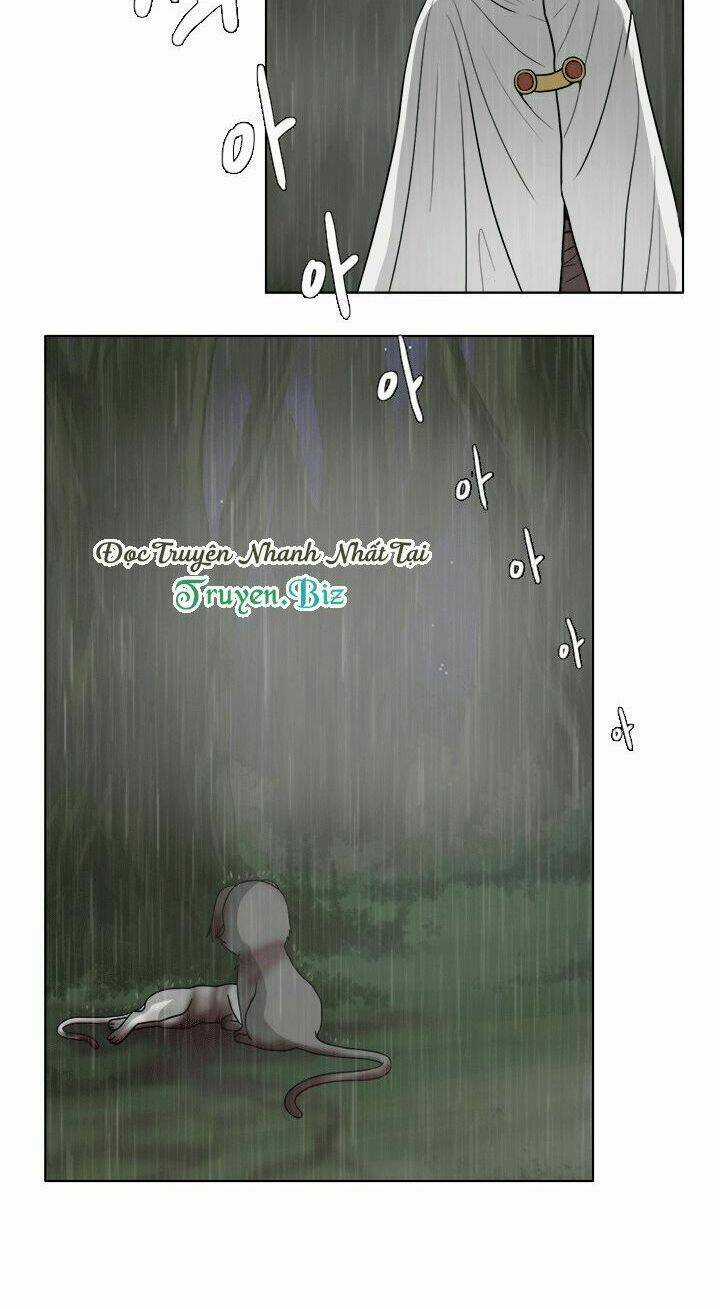 M. M. G. Chapter 12 trang 29