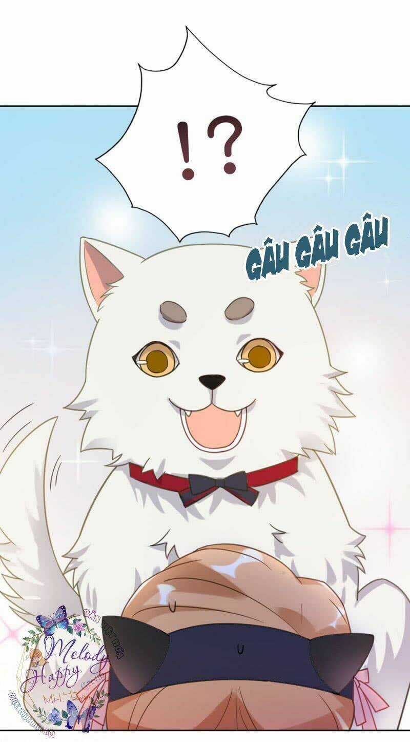 Ma Lạt Thiên Kim Đẩu Ác Thiếu Chapter 11 trang 12