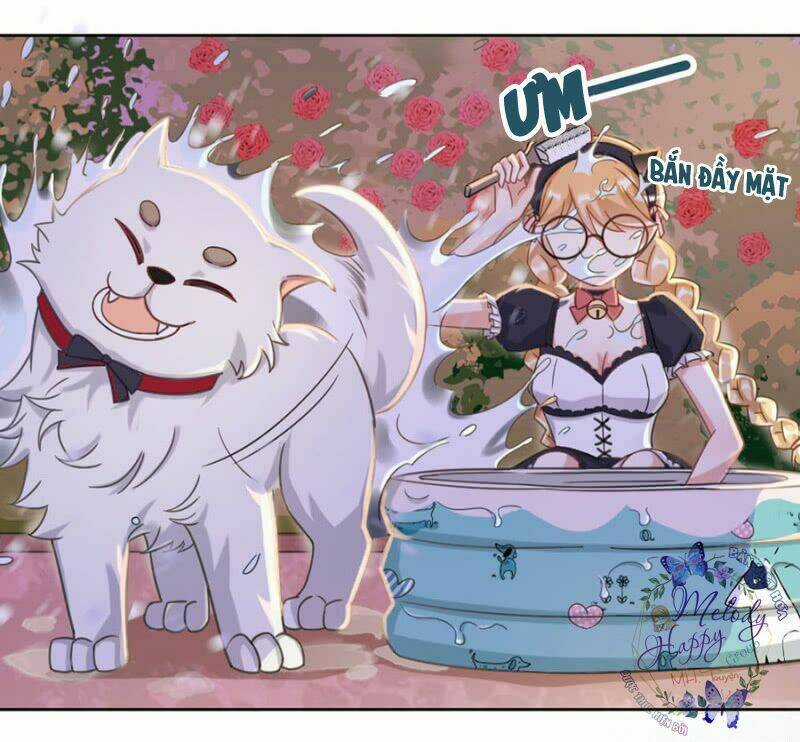 Ma Lạt Thiên Kim Đẩu Ác Thiếu Chapter 11 trang 17