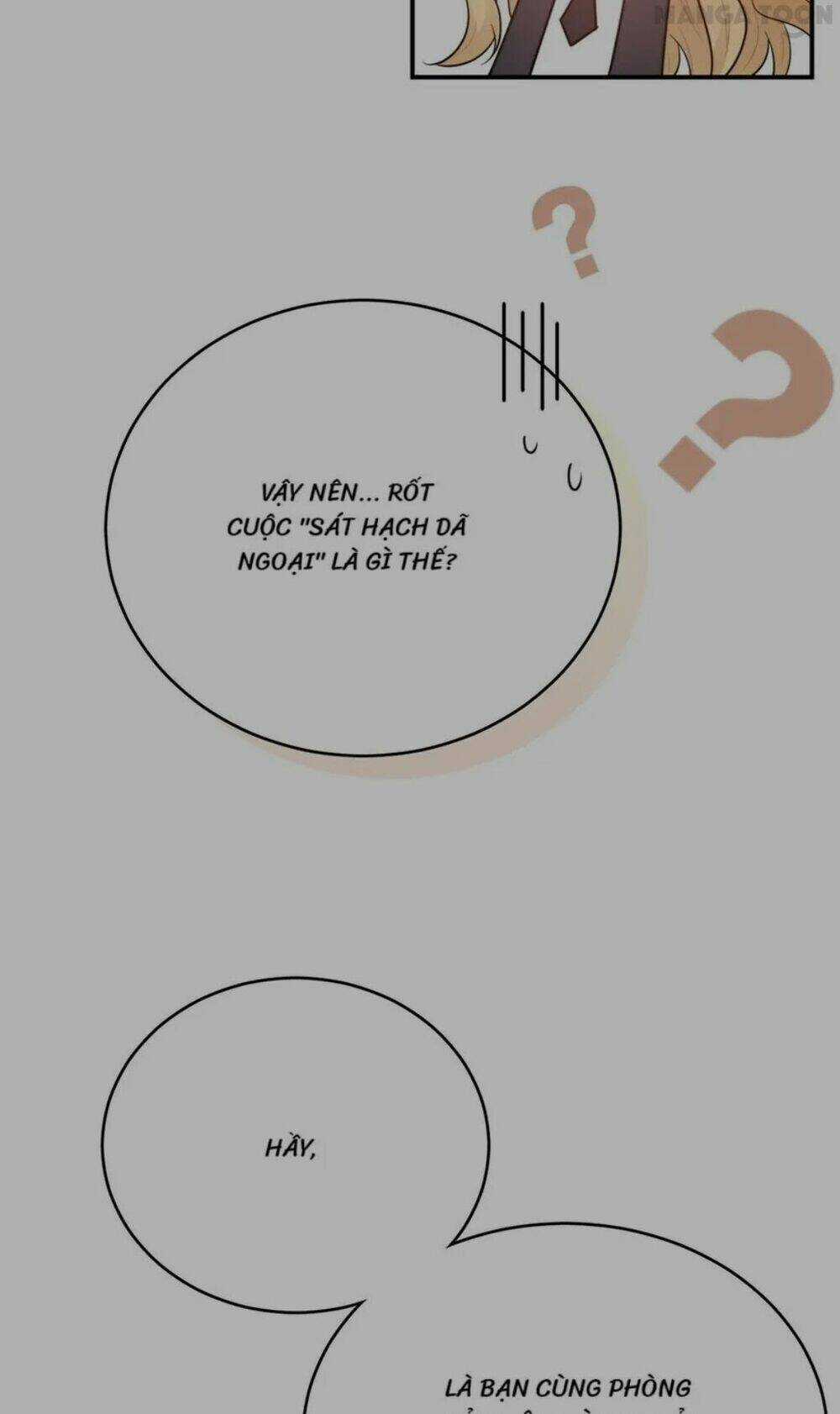 Ma Lạt Thiên Kim Đẩu Ác Thiếu Chapter 245 trang 7