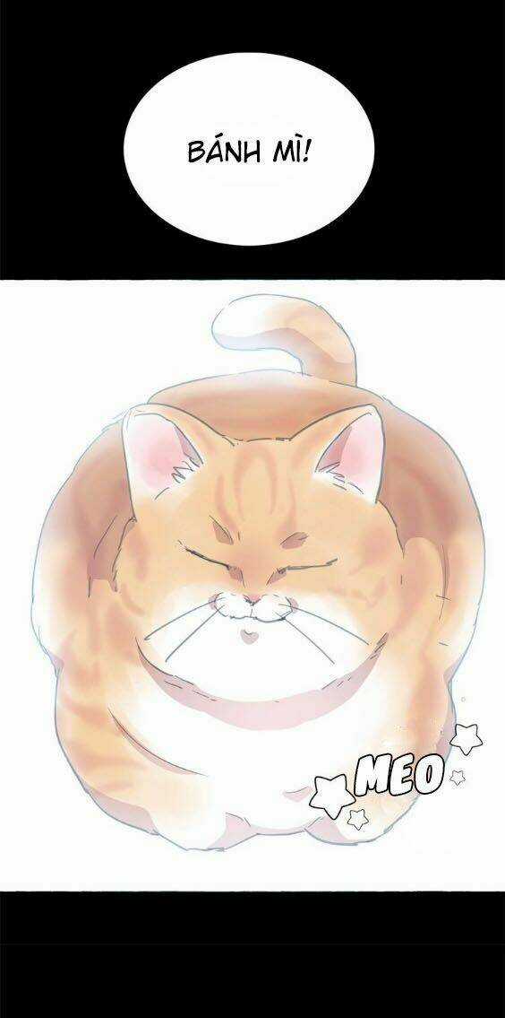 Ma Nữ Mặt Trăng Và Điện Hạ Thái Dương Chapter 6 trang 37