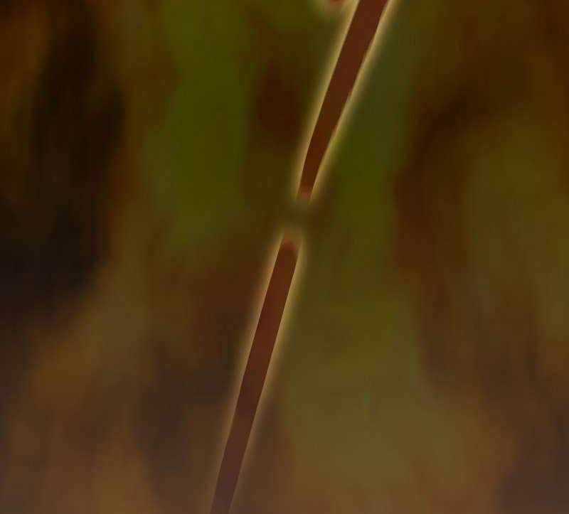 Ma Pháp Sư Tại Trường Học Pháp Thuật Khoá học trực tuyến tốt nhất Chapter 105 trang 46