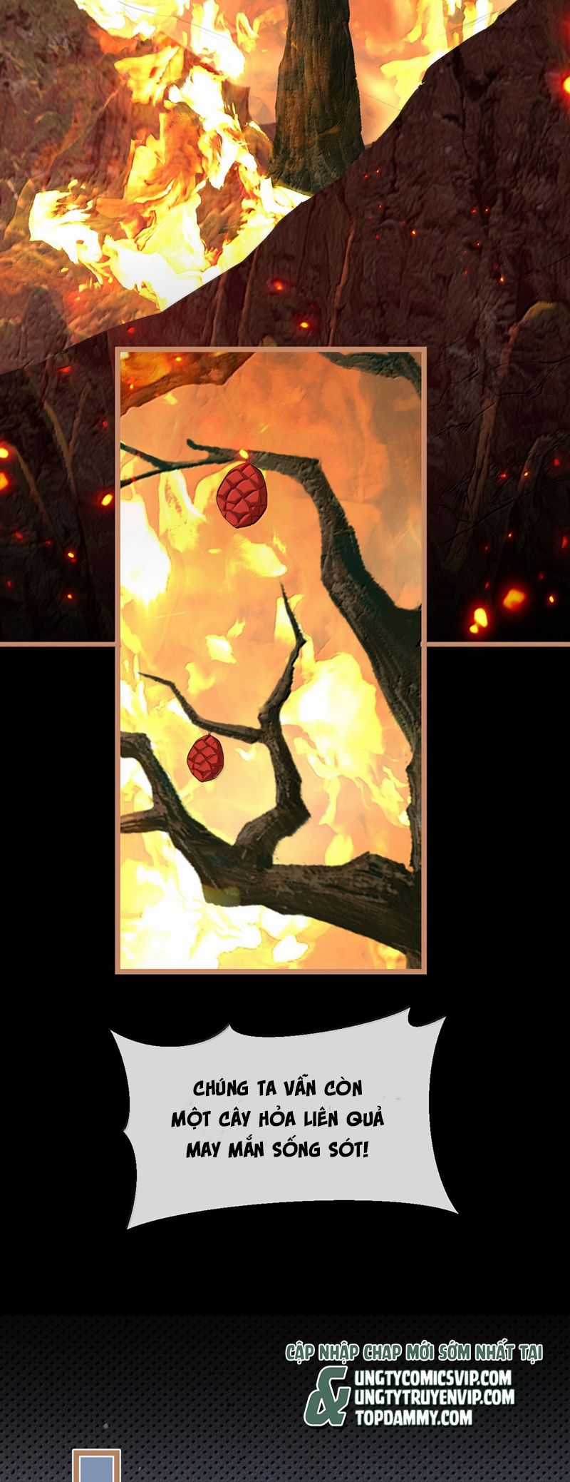 Ma Tôn Đại Nhân Song Tu Không Chapter 74 trang 20