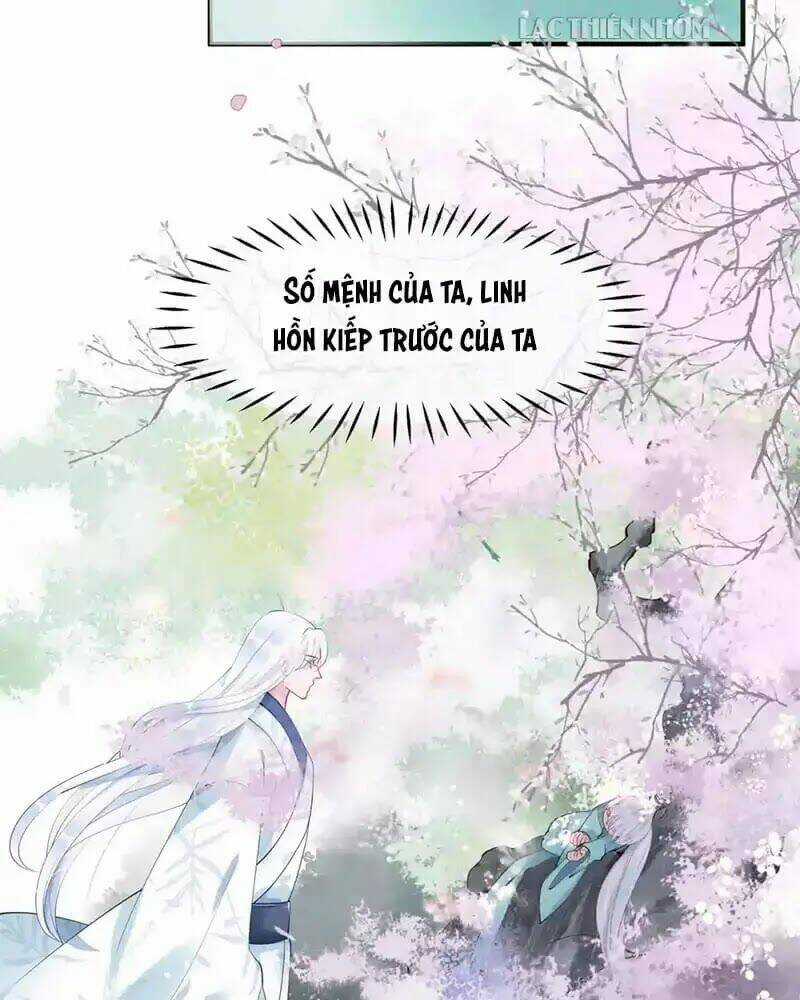 Ma Tôn Muốn Ôm Ôm Chapter 53 trang 24