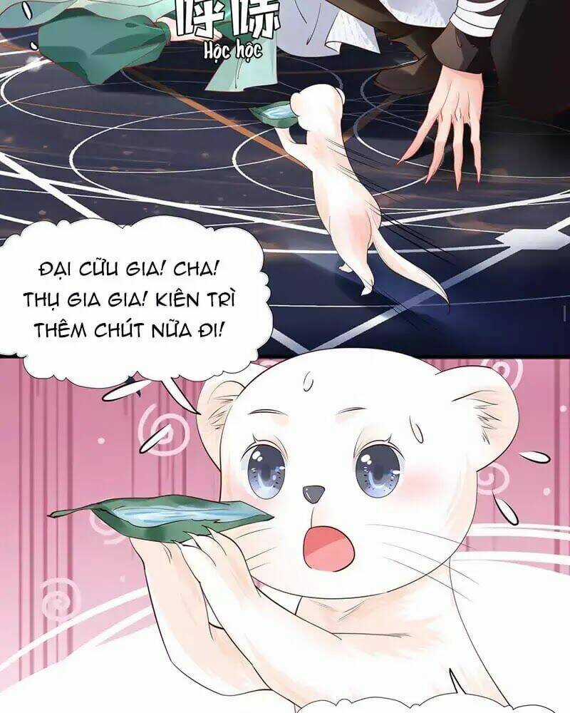 Ma Tôn Muốn Ôm Ôm Chapter 55 trang 49