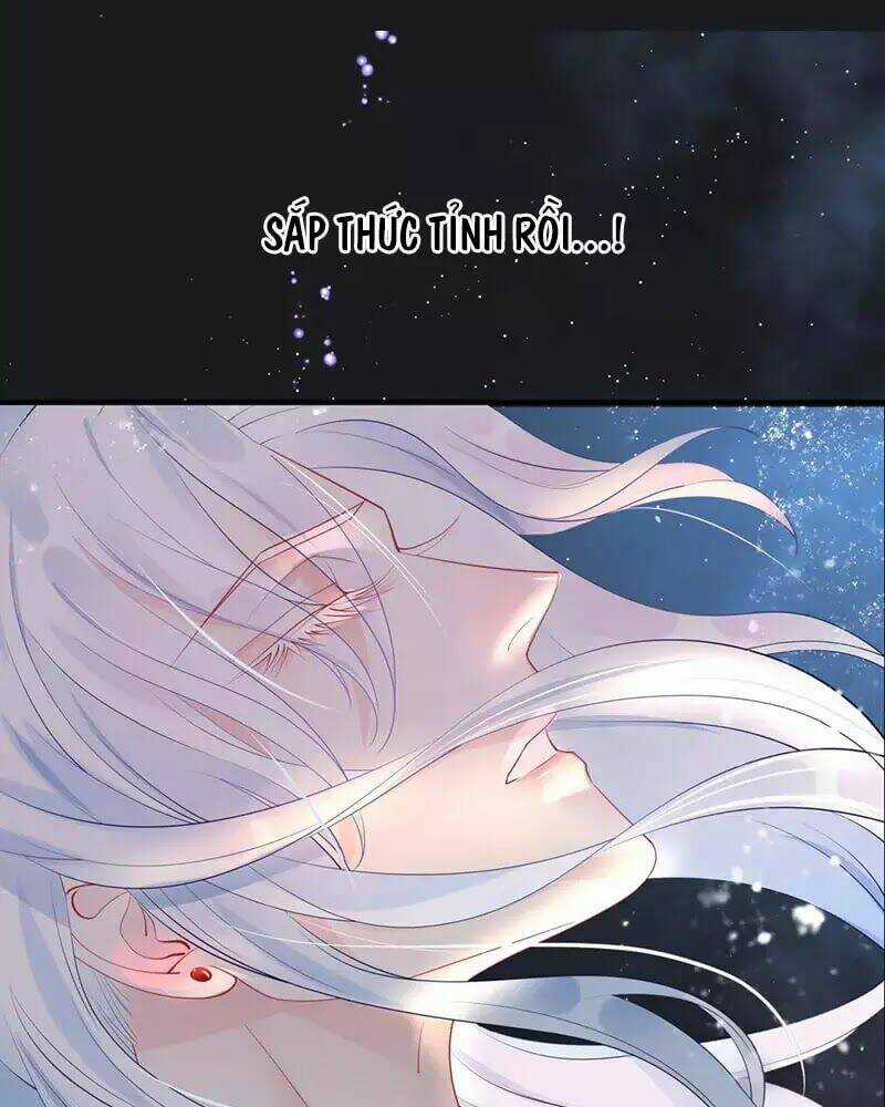 Ma Tôn Muốn Ôm Ôm Chapter 55 trang 8