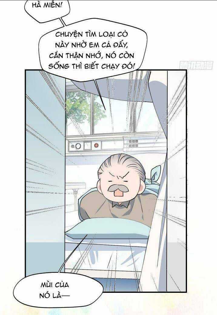 Ma Vương Đại Nhân Luôn Trêu Chọc Tôi Chapter 10 trang 11