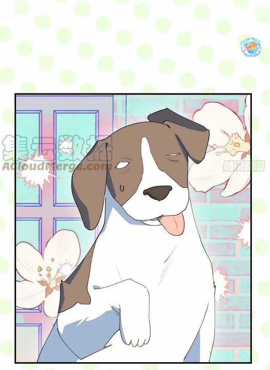 Ma Vương Đại Nhân Luôn Trêu Chọc Tôi Chapter 49 trang 13