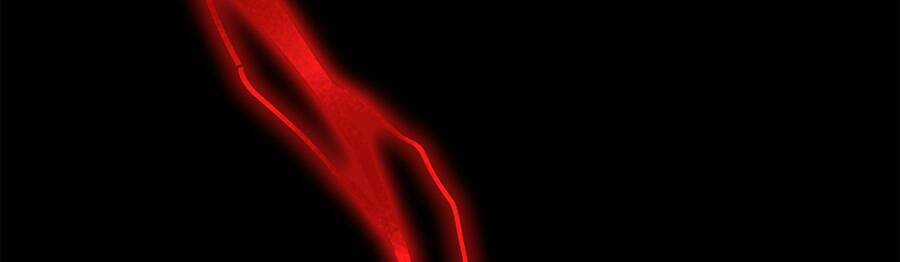 Ma Vương Gian Lận Hệ Thống Chapter 4 trang 76