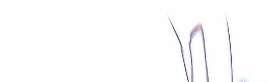 Ma Vương Trở Lại Chapter 26 trang 73