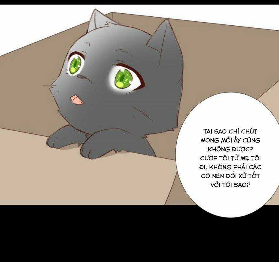 Mạc Duyên Thư Văn Chapter 58 trang 29