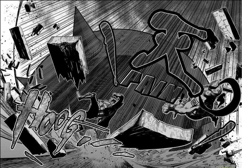 Macrophage Regulation Chapter 3 trang 19